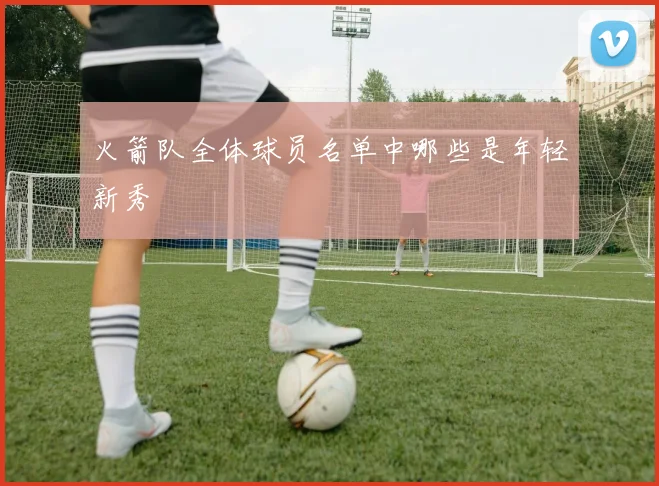 火箭队全体球员名单中哪些是年轻新秀